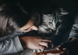Cinco apps para quem ama pet