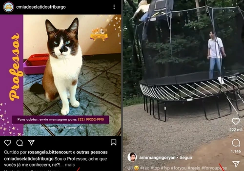 Truques para inovar nos seus Reels no Instagram. ( Imagem: Reprodução)