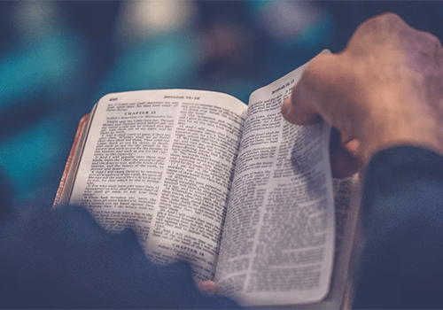 Receba frases bíblicas no seu celular diariamente
