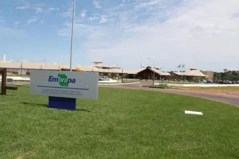 Concurso da Embrapa: mais de mil vagas e salários até R$ 12,8 mil