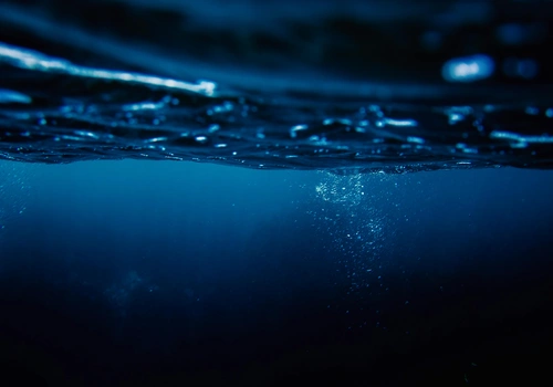 Criatura bizarra no fundo do oceano vai te deixar de boca aberta